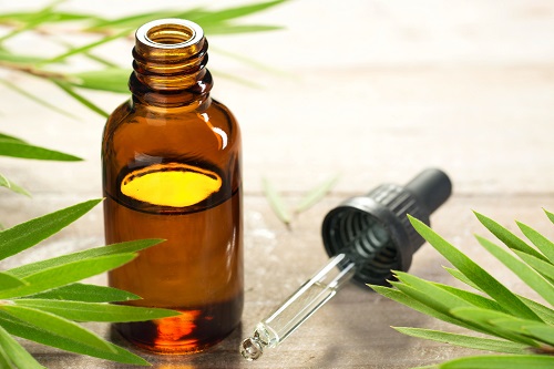 Do Ants Hate Tea Tree Oil? 3