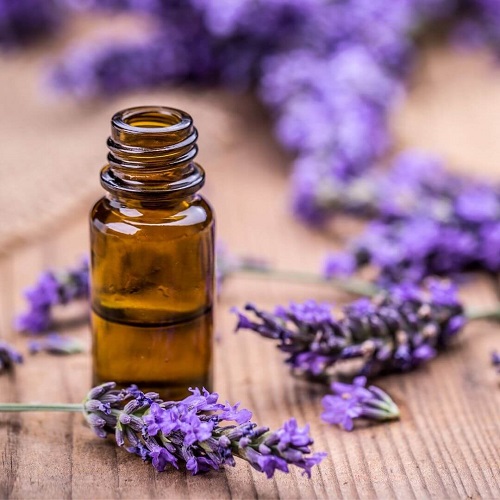 How To Use Peppermint Oil For Vertigo? 5
