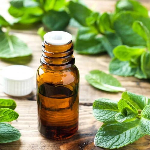 How To Use Peppermint Oil For Vertigo? 1