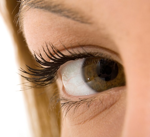 Oil For Eyelashes 2