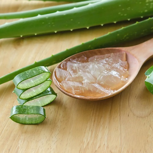 Is Aloe Vera Good for Eyelashes? 1