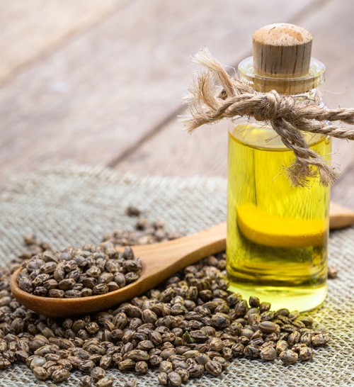 Castor Oil For Nose Congestion