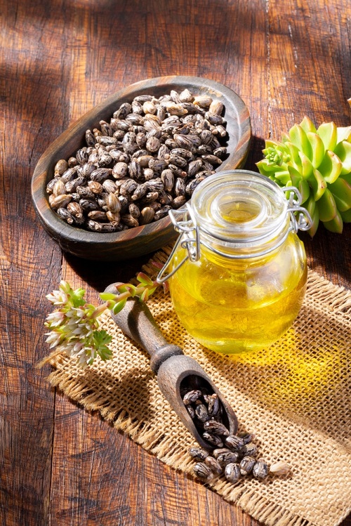Castor Oil For Dogs Ears