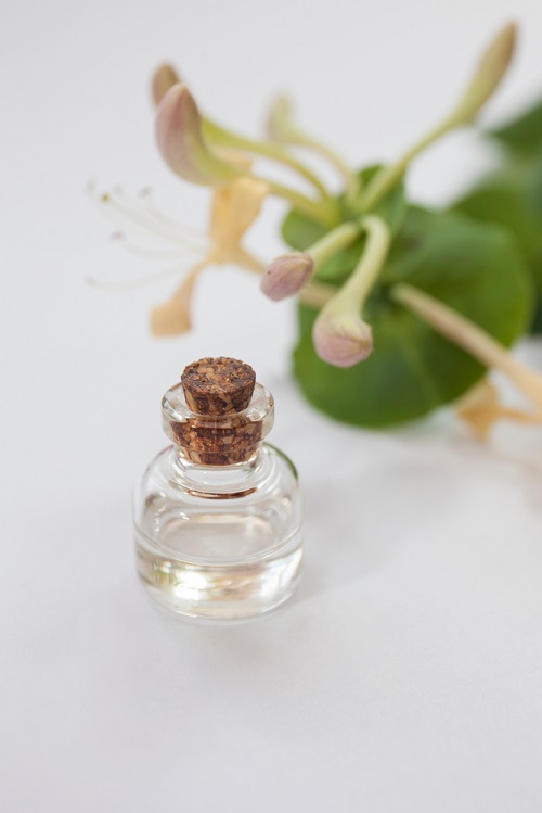 Honeysuckle Oil