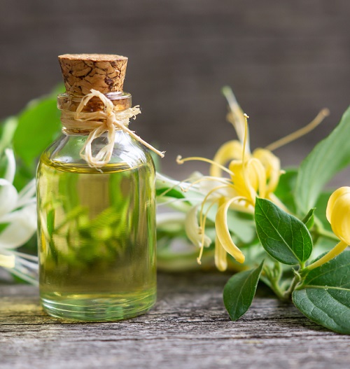 Use Honeysuckle Oil