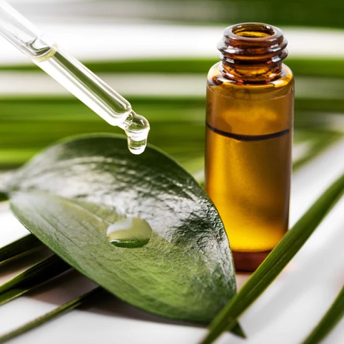 Eucalyptus Oil