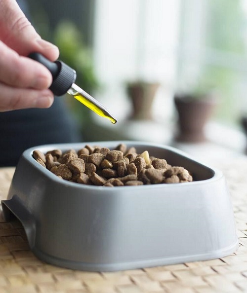 Oil For Dogs Food