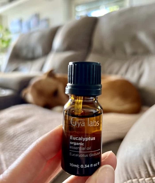 Health Risks Of Using Eucalyptus Oil