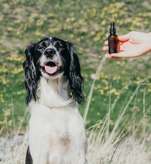 Cedarwood Oil