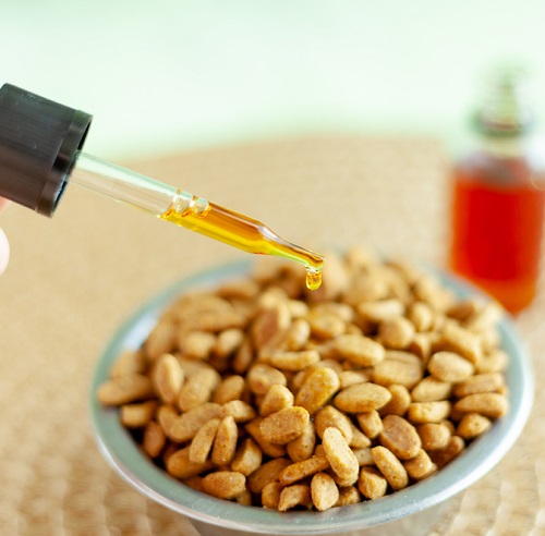 Serve Olive Oil To Cats