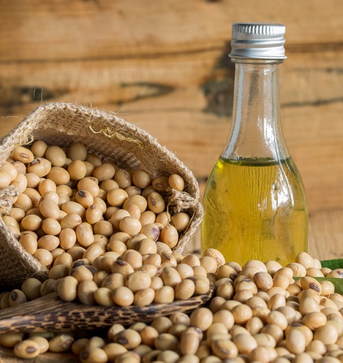 Seed Oils?