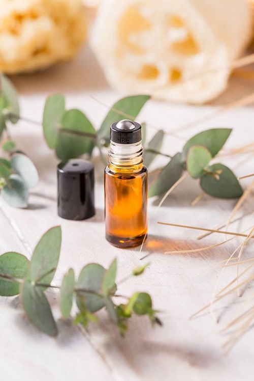 Eucalyptus Essential Oil