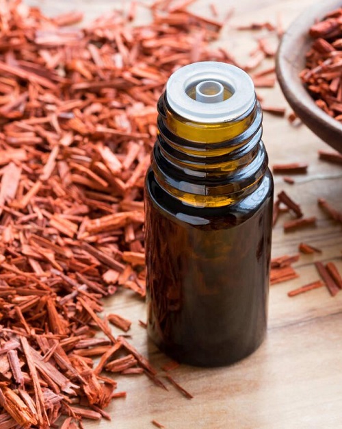 Sandalwood Essential Oil