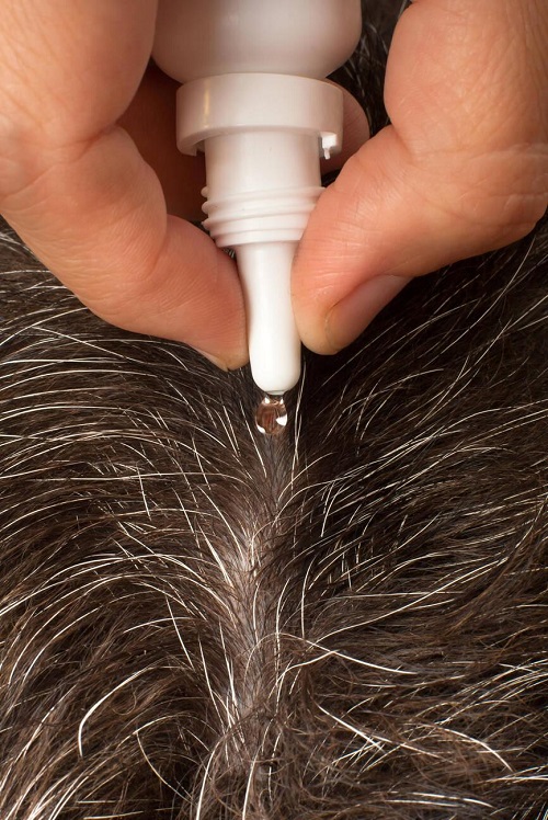 Use Tea Tree Oil For Fleas
