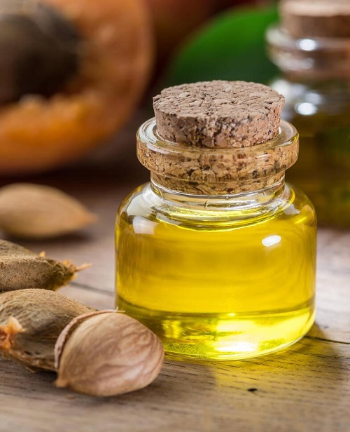 Beauty Benefits Of Apricot Kernel Oil 1
