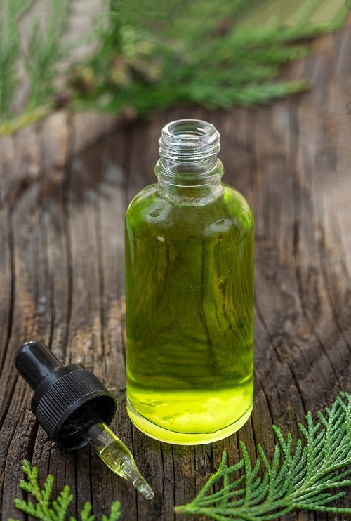 Benefits of Cypress Essential Oil