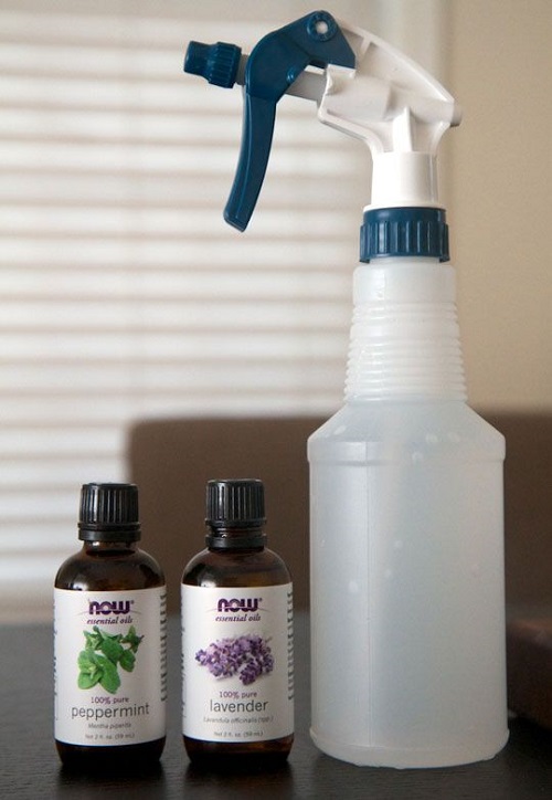 How to Use Essential Oils To Repel Insects