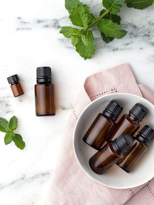 How To Choose the Best Peppermint Oil For Dogs?