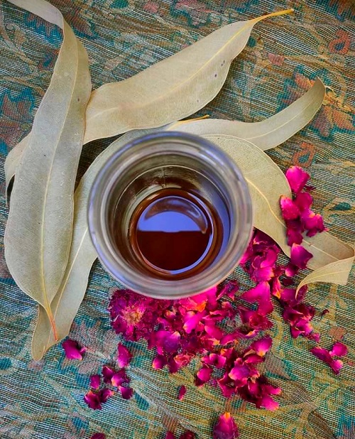 Why Make Your Own DIY Eucalyptus Oil