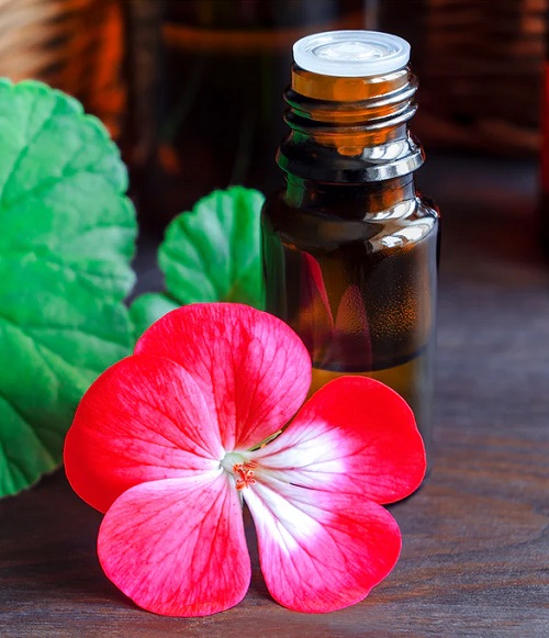 Essential Oils for Skin Care 3