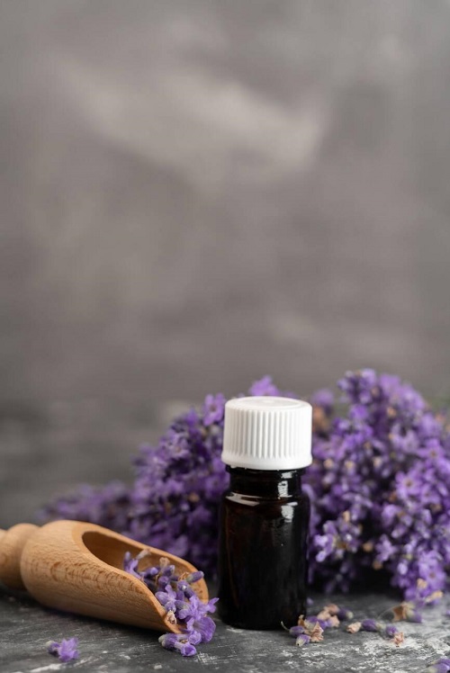 Essential Oils To Help With Fleas 2