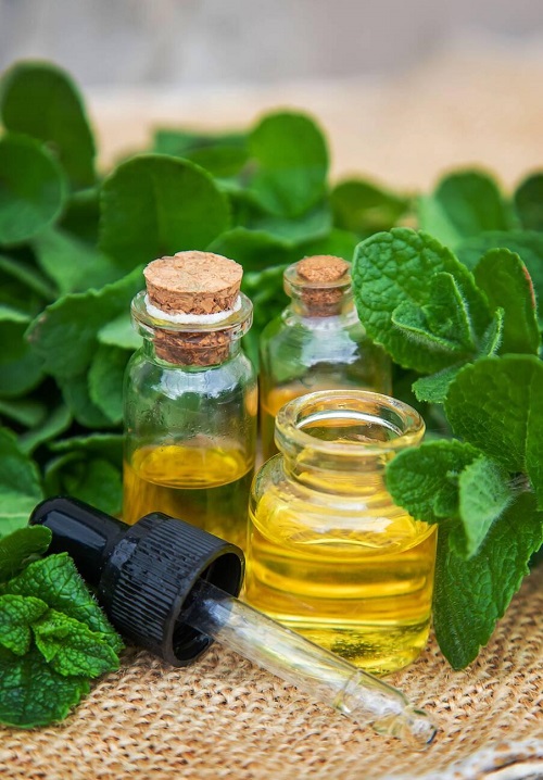 Use Essential Oils for Skin 3