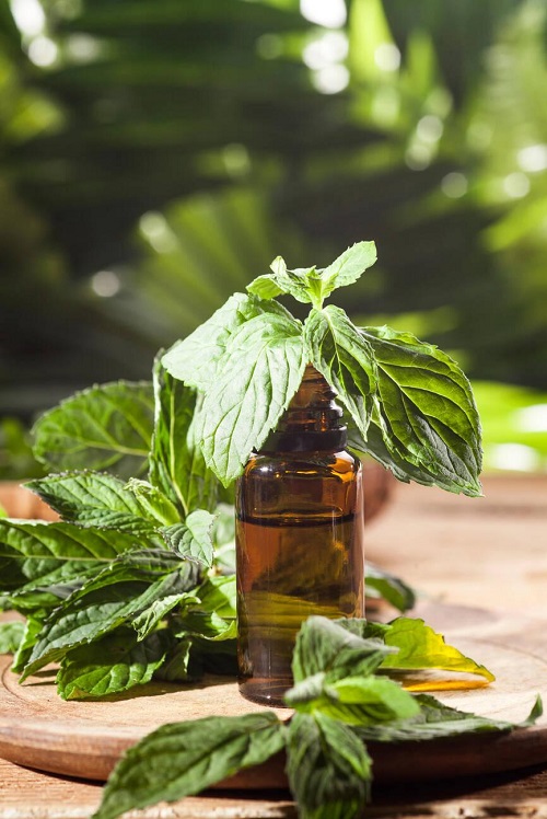 Using Essential Oils For Hair