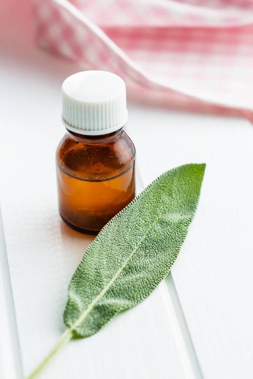 Sage Essential Oil Benefits