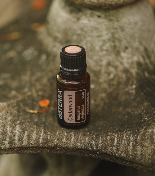 Essential Oils To Women