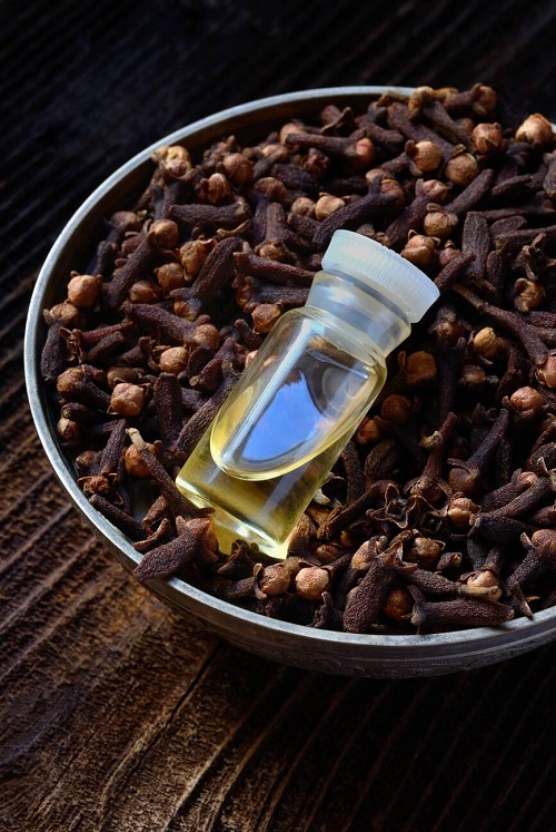 Clove Oil Benefits