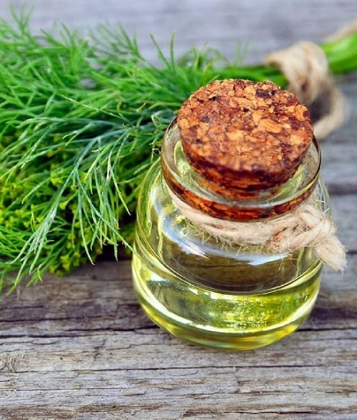 Dill Essential Oil