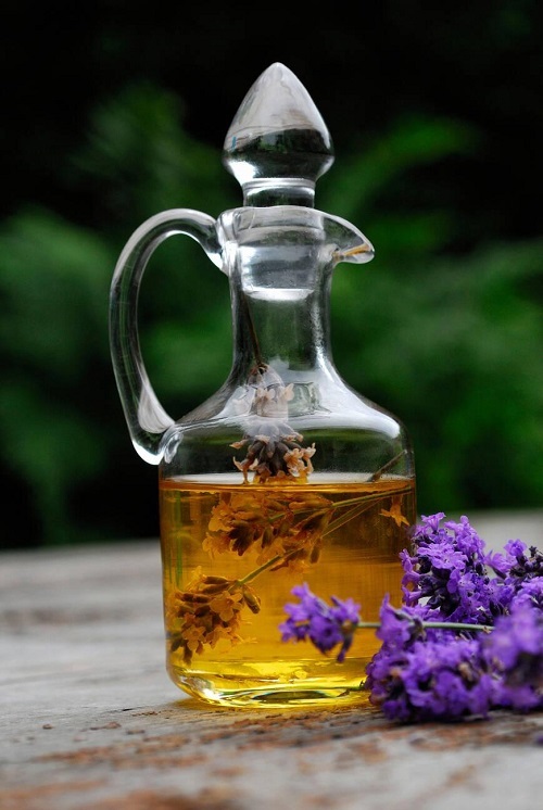 Lavender Oil Health Benefits 1