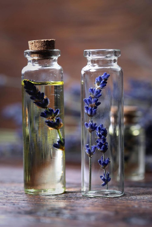 Lavender Oil Health Benefits 3