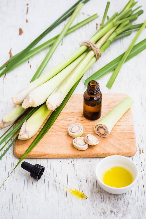 Lemongrass Oil
