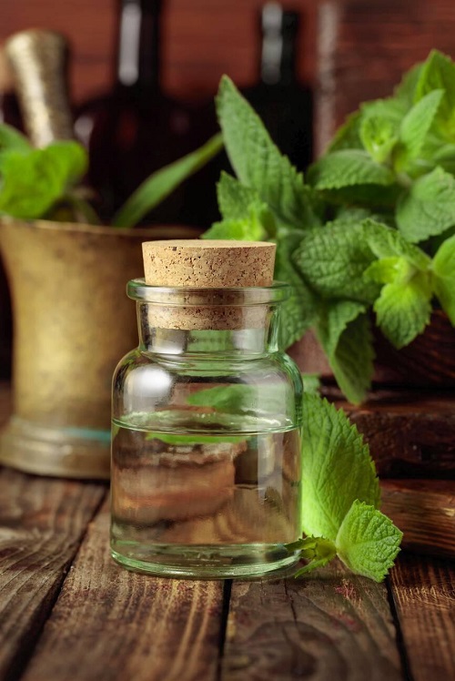 Spearmint Oil