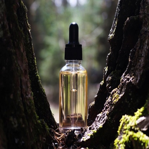 Amyris Essential Oil Uses, Benefits And Recipes 1