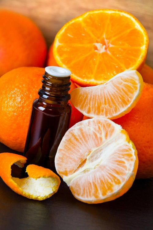Helps with Digestion