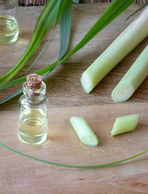 Essential Oils For Gastritis 2