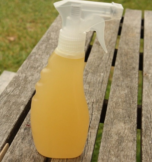 DIY Bug Spray