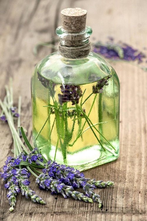 DIY Olive Lotion Recipes for Nourished Skin 2