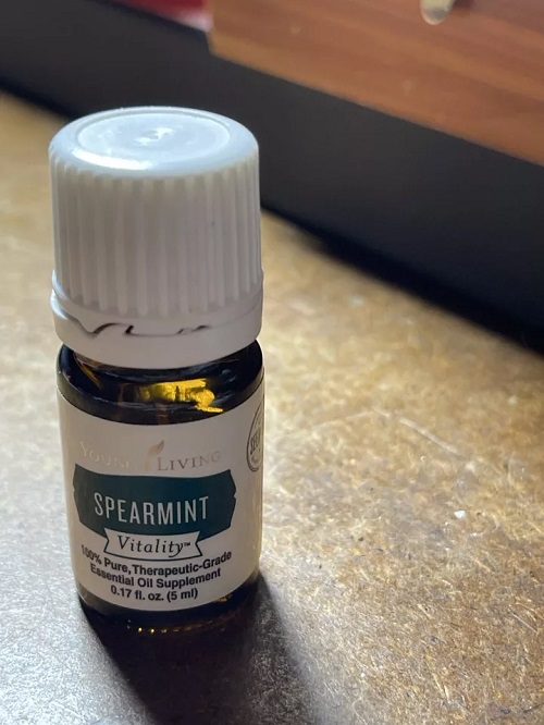 Spearmint Essential Oil- Benefits and Uses 1