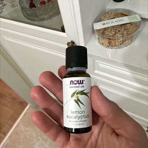 Herbal Oils That Work as Natural Painkillers—No Pills Needed 3