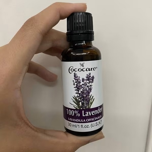 Herbal Oils That Work as Natural Painkillers—No Pills Needed 2