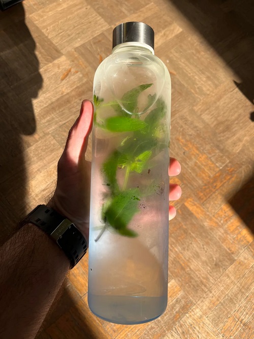 Why Everyone is Adding Mint to Their Morning Water- The Results are Amazing 2