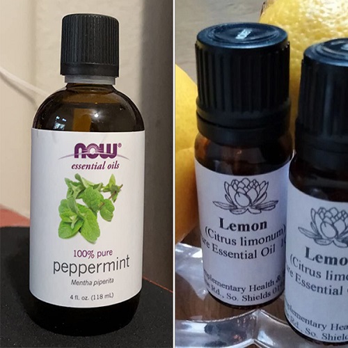 Ways To Use Peppermint And Lemon Oil For Weight Loss