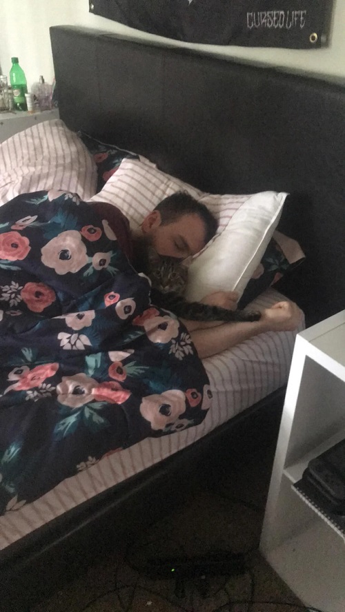 Essential Oils That Help You Sleep Better—Tried and Tested Remedies 1