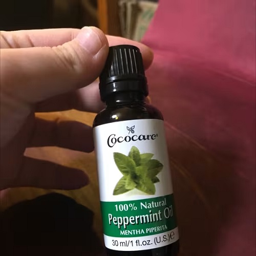 Peppermint Oil