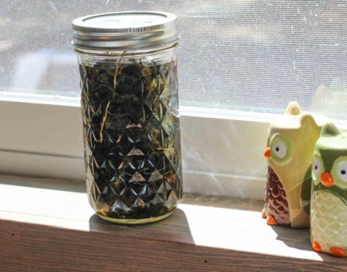 Solar Infusion Method