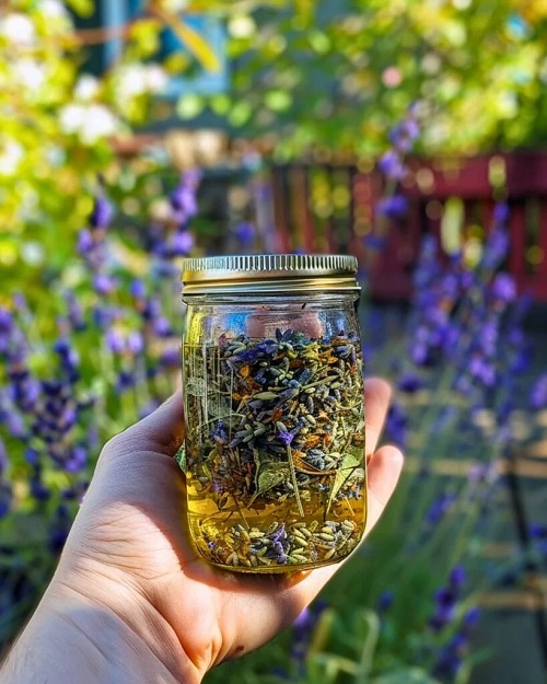 How to Make Your Own Essential Oils from Herbs?