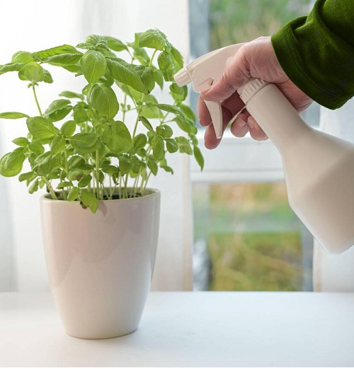 How to Use Neem Oil on Herbs
